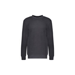 Crew collagegenser, Urban Pioneers