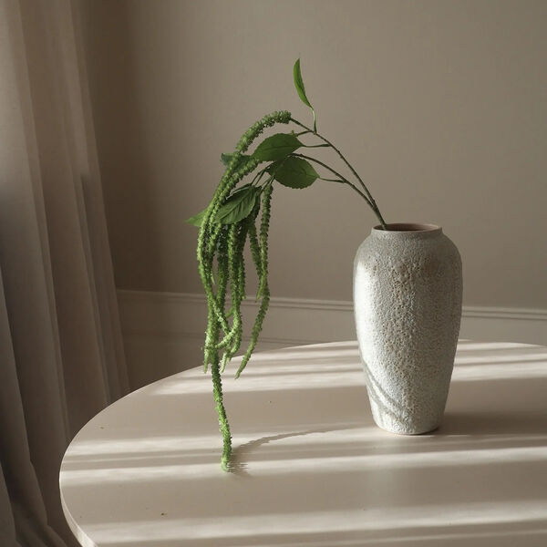 Three Forks Amaranthus blomst, grønn, Botané