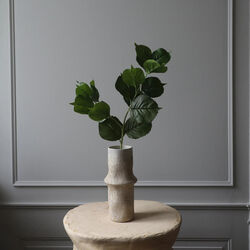 Hydrangea blader, grønn, Botané