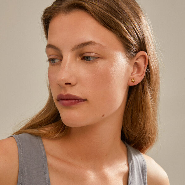 OAKLEY resirkulerte sj&oslash;stjerne &oslash;redobber, gullbelagt, Pilgrim