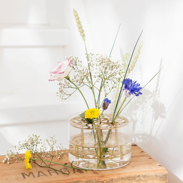 Äng vase liten Äng vase liten, Klong