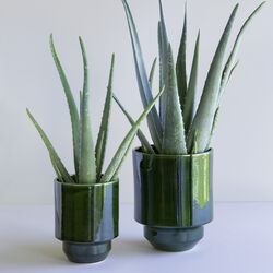 Hoff GLAZED potte, emerald green, Bergs Potter