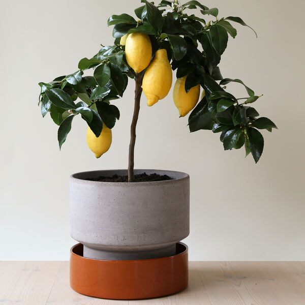 Hoff RAW potte, grey Hoff RAW potte, grey, Bergs Potter