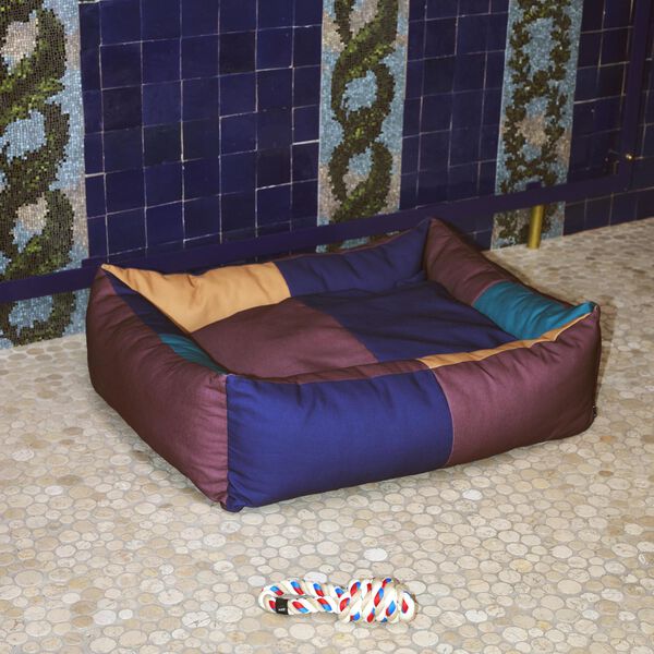 HAY Dogs Seng, burgundy/green, HAY