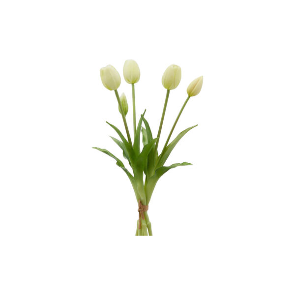 Tulipan bukett 5 stk, champagne, EDG