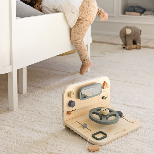 Bilaktivitetspanel, Sebra