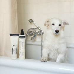 Balsamspray for hund, Humdakin