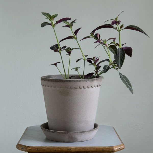 Helena RAW potte med underfat, grey, Bergs Potter