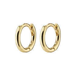 EANNA resirkulerte huggie hoops, gullbelagt, Pilgrim