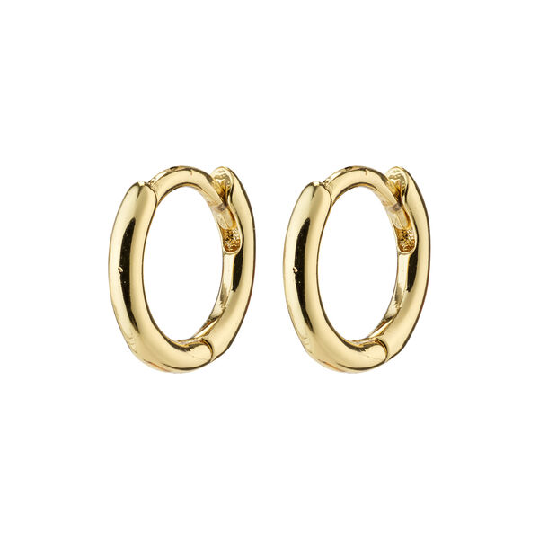 EANNA resirkulerte huggie hoops, gullbelagt, Pilgrim