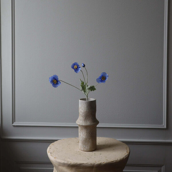 Poppy blomst, blå, Botané