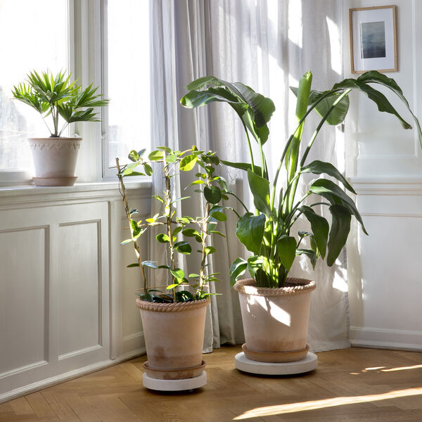 Emilia RAW potte med underfat, rosa, Bergs Potter