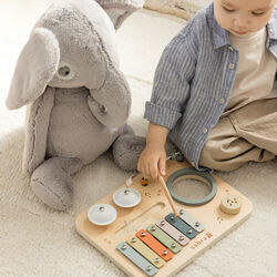 Musikkaktivitetspanel, Sebra