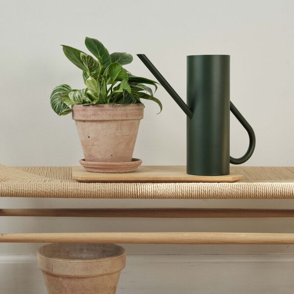 Bloom vannkanne, pine Bloom vannkanne, pine, Stelton