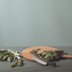 Green Tool vuggekniv, Eva Solo