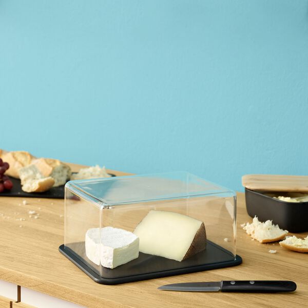 CONTAIN-IT Cheese Box, black, RIG-TIG
