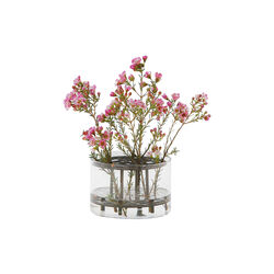 &Auml;ng vase liten, Klong