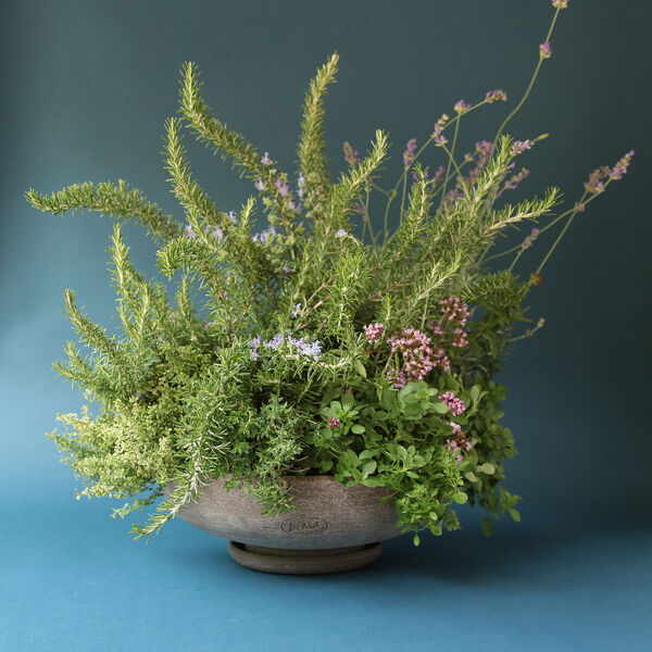 Ada RAW krukke med underfat, grey, Bergs Potter