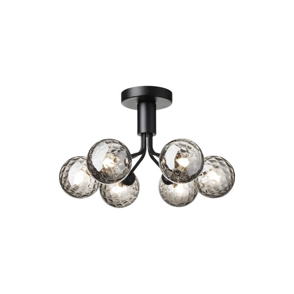 Apiales 6 Ceiling Lamp, satin black/optic smoked, Nuura