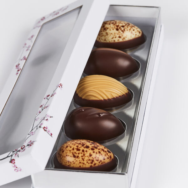 5 Klassiske egg, Summerbird