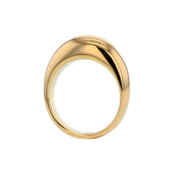 The Shiny ring, gull, CAMILLA PIHL