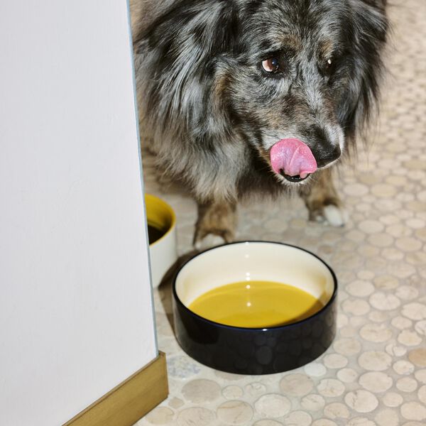 HAY Hundeskål, yellow/blue HAY Hundeskål, yellow/blue, HAY