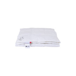 Klodshans helårsdyne, sval, Ringsted Dun