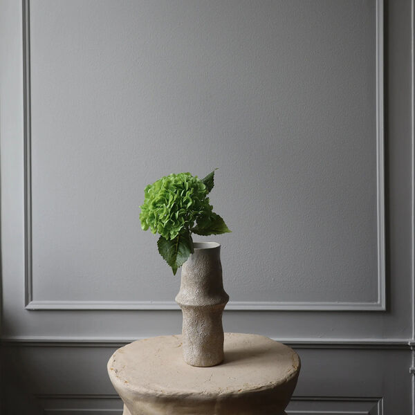 Hydrangea blomst, gr&oslash;nn, Botan&eacute;