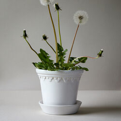 Københavner GLAZED krukke med underfat, mineral white, Bergs Potter