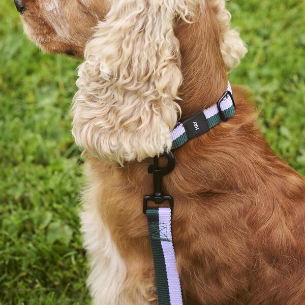 HAY Hundeb&aring;nd, lavender/green, HAY