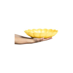 Oyster skål 31cm, yellow Oyster skål 31cm, yellow, Mateus