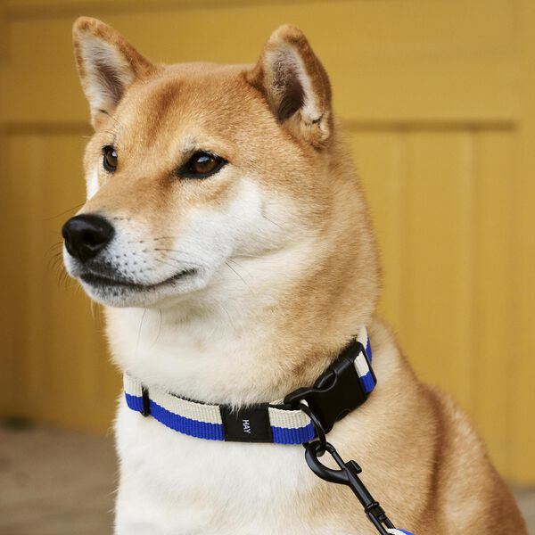 HAY Dogs Halsbånd Flat, blue/off-white, HAY