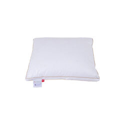 Svinedrengen hodepute, Ringsted Dun