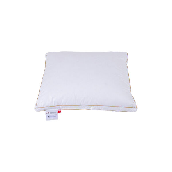 Svinedrengen hodepute, Ringsted Dun