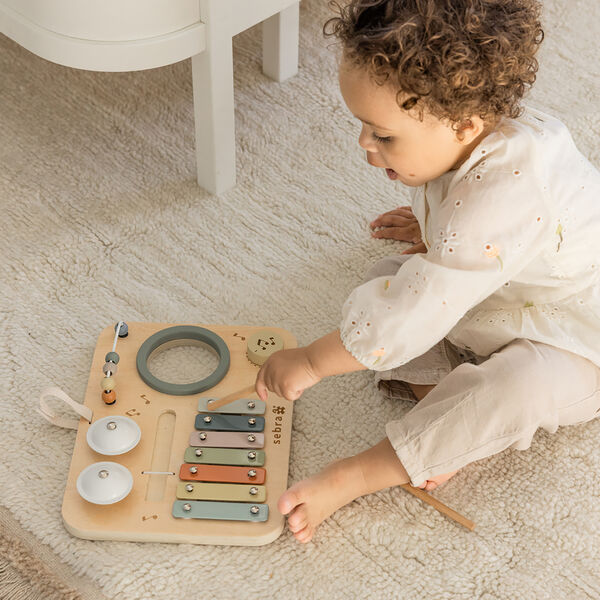 Musikkaktivitetspanel, Sebra