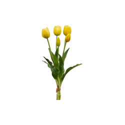 Tulipan bukett 5 stk, yellow, EDG