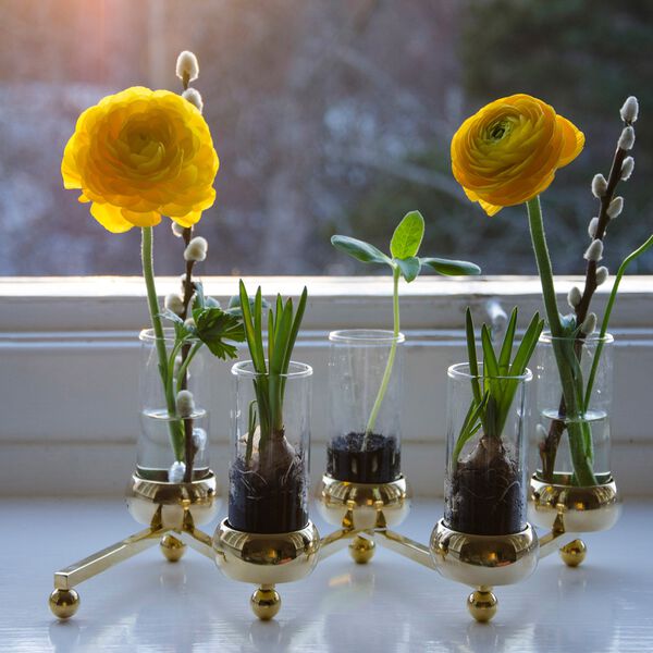 Constella lysestake, liten Constella lysestake, liten, Klong