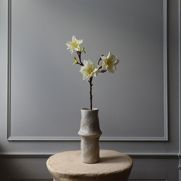 Lily Magnolia Branch, hvit, Botané