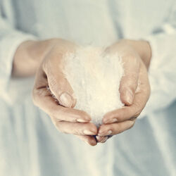 Putefyll, ivory, ELVANG