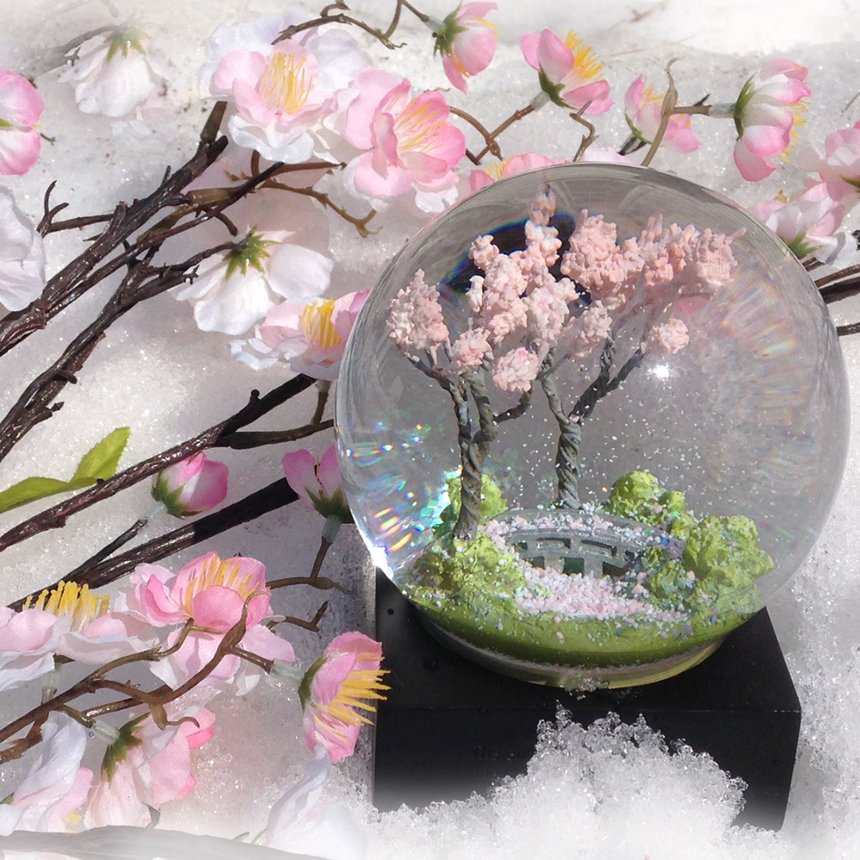 CoolSnowGlobes